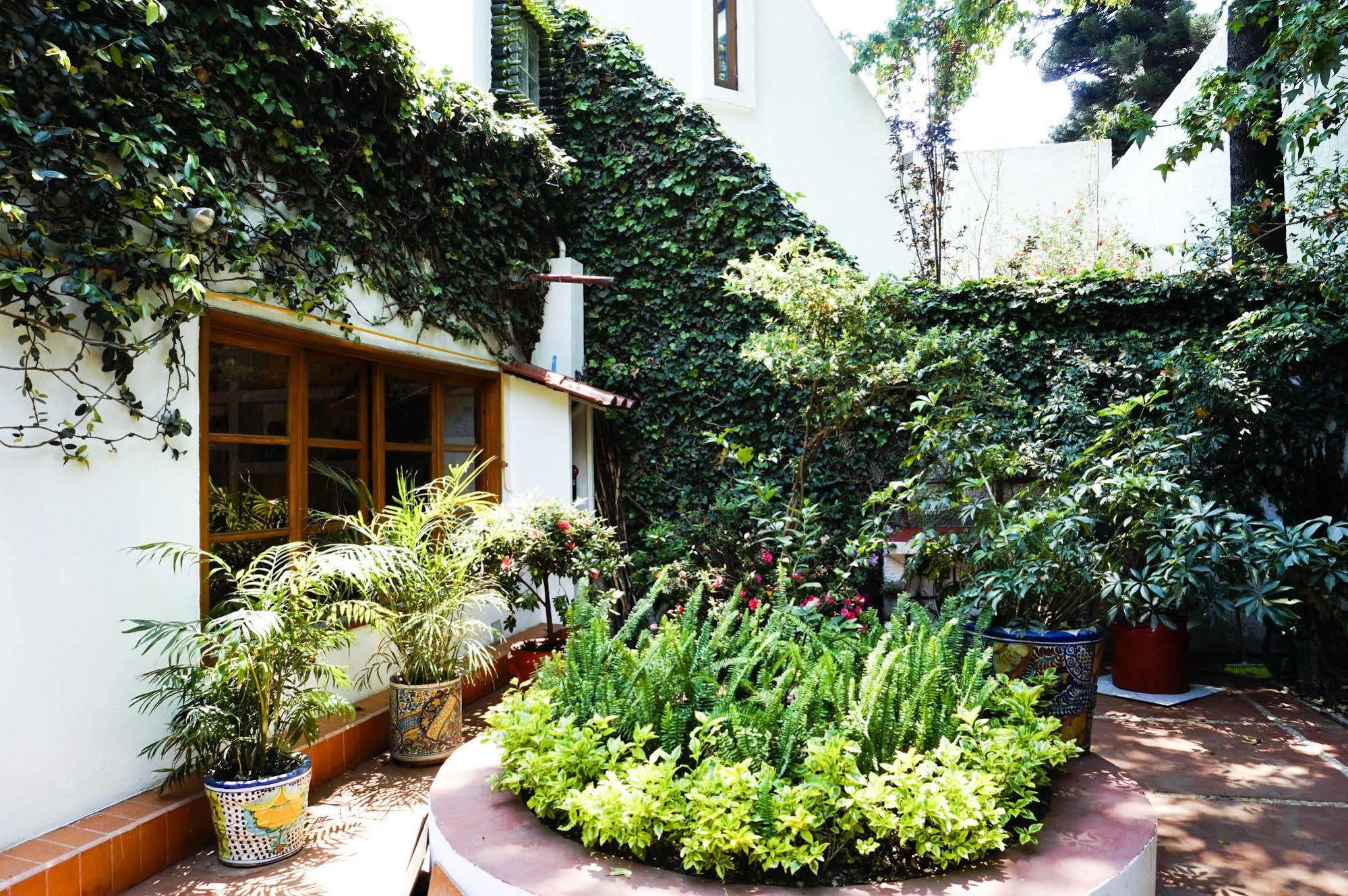 Acomodação com café da manhã  Casa Jacinta Cidade do México